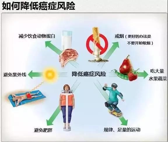 亿博(yibo)体育官网入口-ios/安卓通用版app下载
